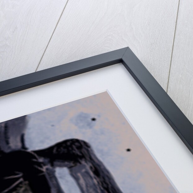 The Who Magic Circus Poster by Rokpool